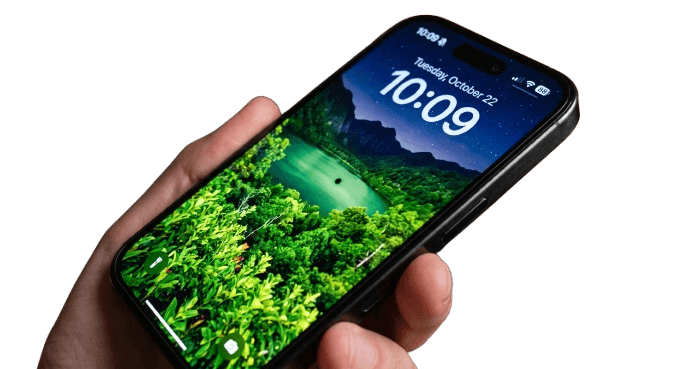 Display crack or dead pixels